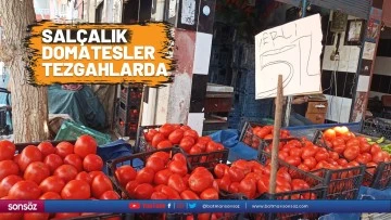 Sal&ccedil;alık domatesler tezgahlarda