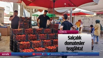 Sal&ccedil;alık domatesler tezg&acirc;hta!