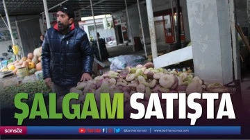Şalgam satışta