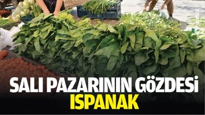 Salı pazarının g&ouml;zdesi ıspanak&hellip;