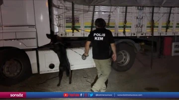 Saman y&uuml;kl&uuml; tırda 35 kilogram esrar ele ge&ccedil;irildi