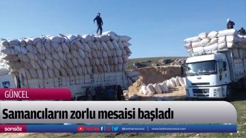 Samancıların zorlu mesaisi başladı