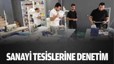 Sanayi tesislerine denetim