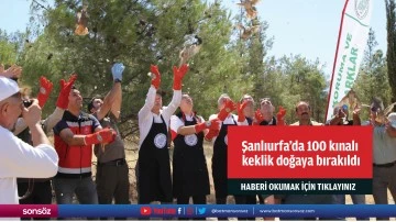 Şanlıurfa'da 100 kınalı keklik doğaya bırakıldı