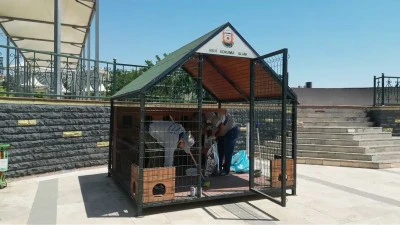 Şanlıurfa'da 11 noktaya 12 kedi evi kuruldu