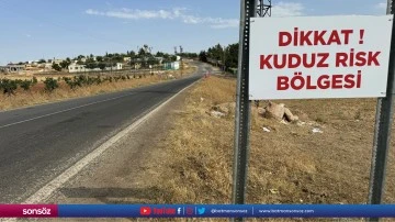 Şanlıurfa'da 2 mahalle kuduz nedeniyle karantinaya alındı