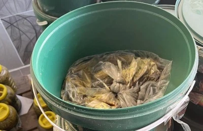 Şanlıurfa'da 20 ton bozulmuş turşu ele ge&ccedil;irildi