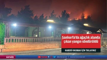 Şanlıurfa'da ağa&ccedil;lık alanda &ccedil;ıkan yangın s&ouml;nd&uuml;r&uuml;ld&uuml;