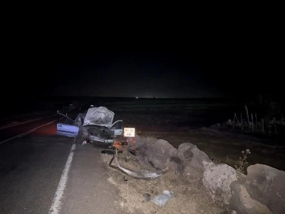Şanlıurfa'da devrilen otomobildeki 2 kişi yaralandı