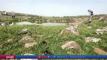 Şanlıurfa'da g&ouml;lete giren 2 &ccedil;ocuk boğulma tehlikesi ge&ccedil;irdi