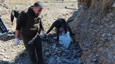 Şanlıurfa'da ıslahı yapılan derede mahsur kalan kaplumbağalar kurtarıldı