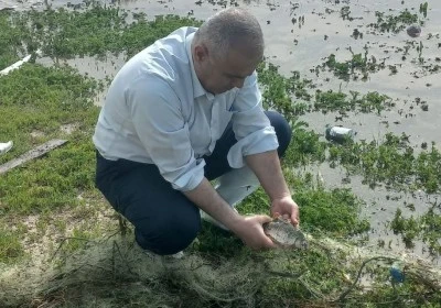 Şanlıurfa'da ka&ccedil;ak avcılıkta kullanılan 1400 metre misina ağına el konuldu