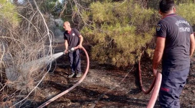 Şanlıurfa'da otluk alanda &ccedil;ıkan yangın s&ouml;nd&uuml;r&uuml;ld&uuml;