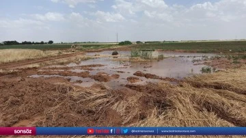 Şanlıurfa'da patlayan borudan sızan sular ekinlere zarar verdi