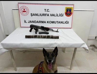 Şanlıurfa'da silah ka&ccedil;ak&ccedil;ılığı operasyonunda 1 ş&uuml;pheli yakalandı