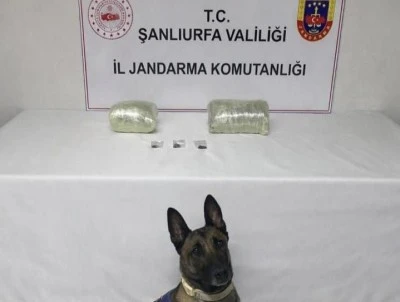 Şanlıurfa'da uyuşturucu operasyonunda 1 ş&uuml;pheli yakalandı