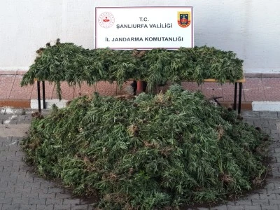 Şanlıurfa'da uyuşturucu operasyonunda 9 ş&uuml;pheli yakalandı