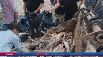 Şanlıurfa'da yasa dışı avlanan 2 ton balık ele ge&ccedil;irildi