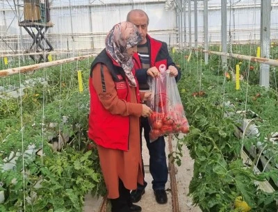 Şanlıurfa'da zirai ila&ccedil; kalıntısı denetimleri yapıldı
