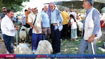 Şanlıurfa'daki hayvan pazarlarında hareketlilik s&uuml;r&uuml;yor