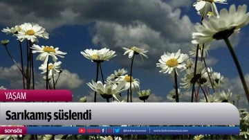 Sarıkamış s&uuml;slendi