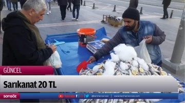 Sarıkanat 20 TL