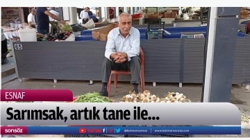 Sarımsak, artık tane ile&hellip;