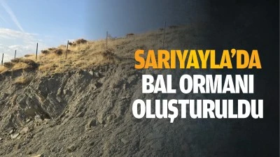 Sarıyayla&rsquo;da bal ormanı oluşturuldu