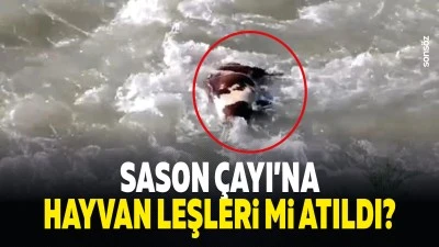 Sason &Ccedil;ayı&rsquo;na hayvan leşleri mi atıldı?