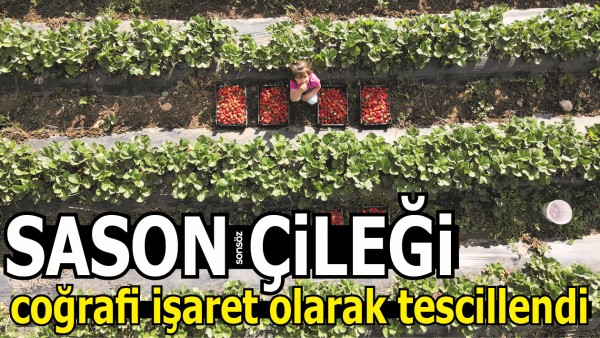 SASON &Ccedil;İLEĞİ COĞRAFİ İŞARET OLARAK TESCİLLENDİ 