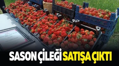 Sason &Ccedil;ileği satışa &ccedil;ıktı