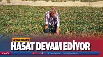 Sason &ccedil;ileğinde hasat devam ediyor