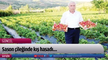 Sason &Ccedil;ileğinde kış hasadı...