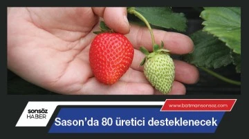 Sason&rsquo;da 80 &uuml;retici desteklenecek