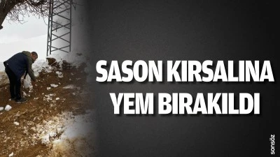Sason kırsalına yem bırakıldı