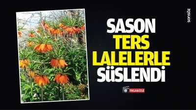 Sason, ters lalelerle s&uuml;slendi
