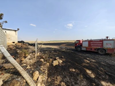 Savur ve Kızıltepe'de &ccedil;ıkan yangınlar s&ouml;nd&uuml;r&uuml;ld&uuml;