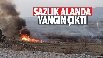 Sazlık alanda yangın &ccedil;ıktı