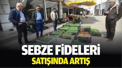 Sebze fideleri satışında artış