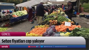 Sebze fiyatları cep yakıyor