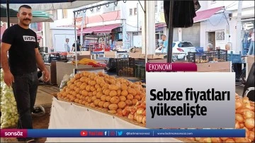 Sebze fiyatları y&uuml;kselişte
