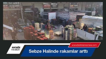 Sebze Halinde rakamlar arttı