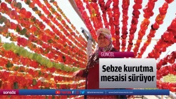 Sebze kurutma mesaisi s&uuml;r&uuml;yor