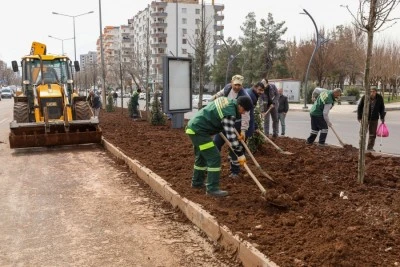 Selahattin Eyyubi Bulvarı estetik bir yaşam koridoruna d&ouml;n&uuml;ş&uuml;yor
