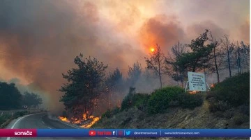Sel&ccedil;uk il&ccedil;esinde orman yangını &ccedil;ıktı
