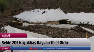 Selde 205 K&uuml;&ccedil;&uuml;kbaş Hayvan Telef Oldu