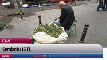 Semizotu 15 TL