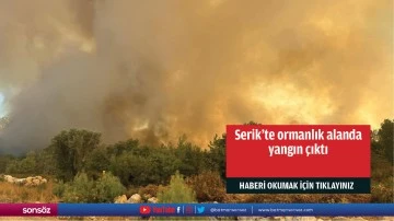 Serik'te ormanlık alanda yangın &ccedil;ıktı