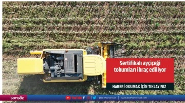 Sertifikalı ay&ccedil;i&ccedil;eği tohumları ihra&ccedil; ediliyor
