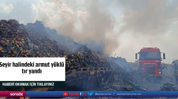 Seyir halindeki armut y&uuml;kl&uuml; tır yandı